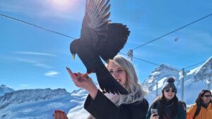 Read more about the article Gehalt in der Schweiz für Saisonarbeiter